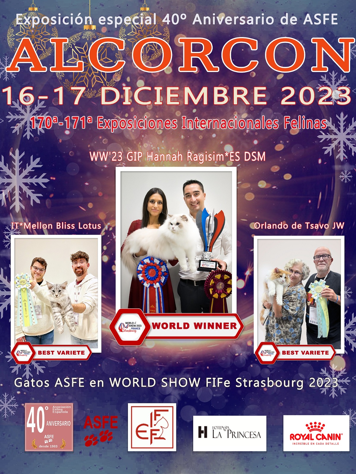 Cartel de la Exposicion