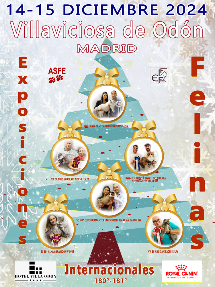 Cartel de la Exposicion