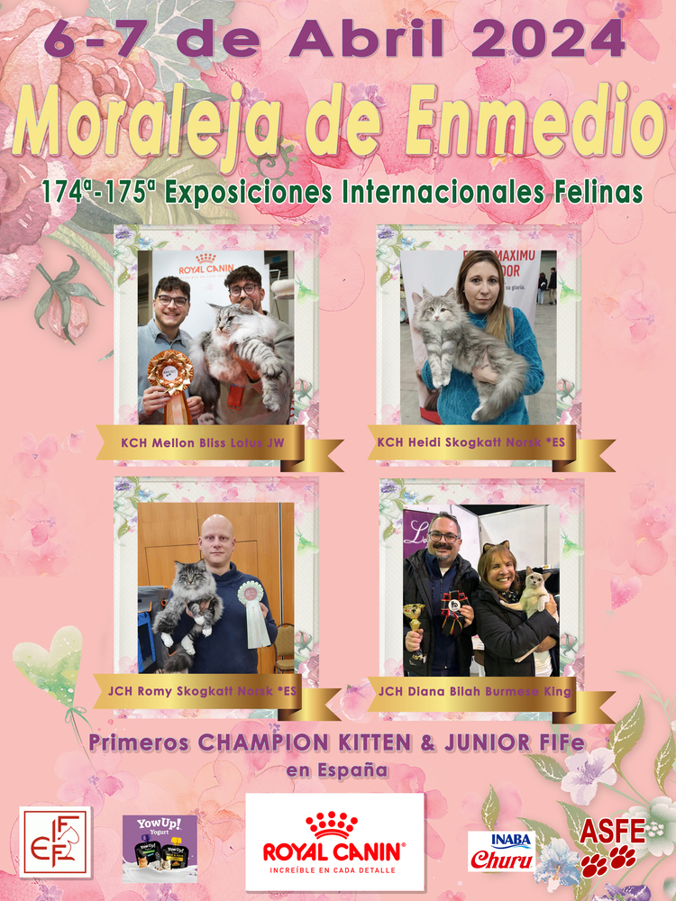 Cartel de la Exposicion