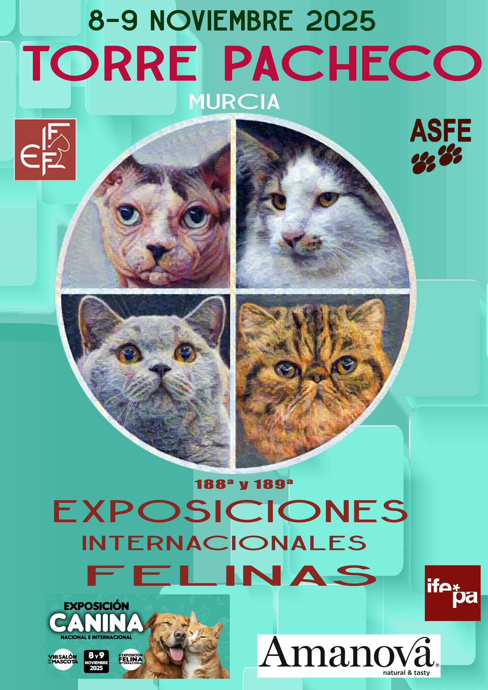 Cartel de la Exposicion