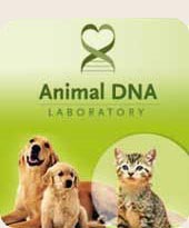 Animal DNA Laboratory