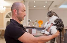 Jorge Fernández Juez FIFe Cat I